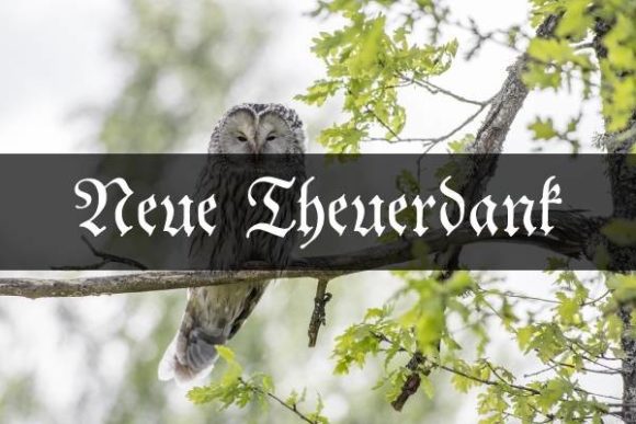 Neue Theuerdank: Why This Gothic Typeface Demands Your Attention